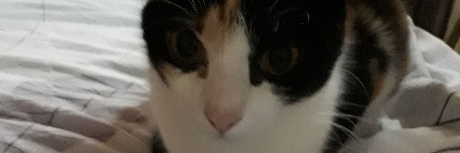 Diegoool11's profile banner image