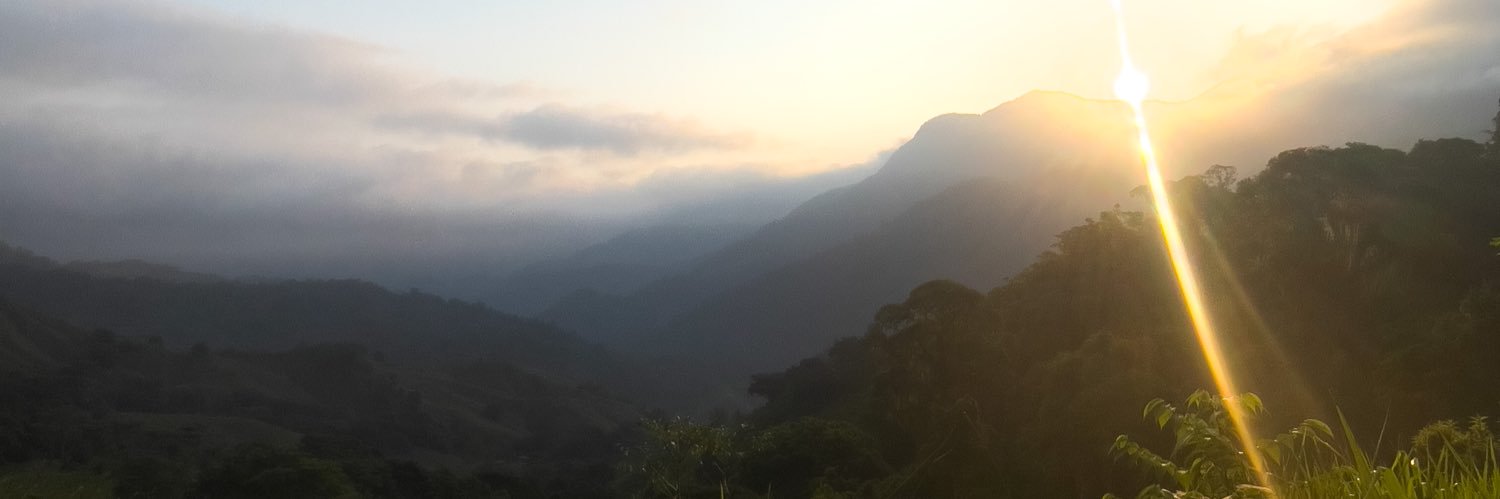 Luke Hennerley banner