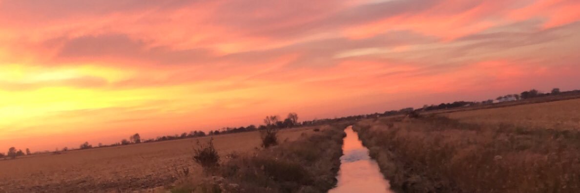 AlyRink's profile banner image