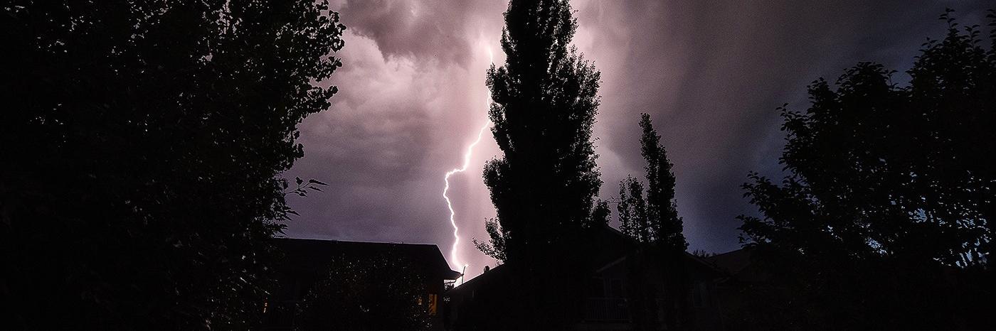 Dory Rossiter banner