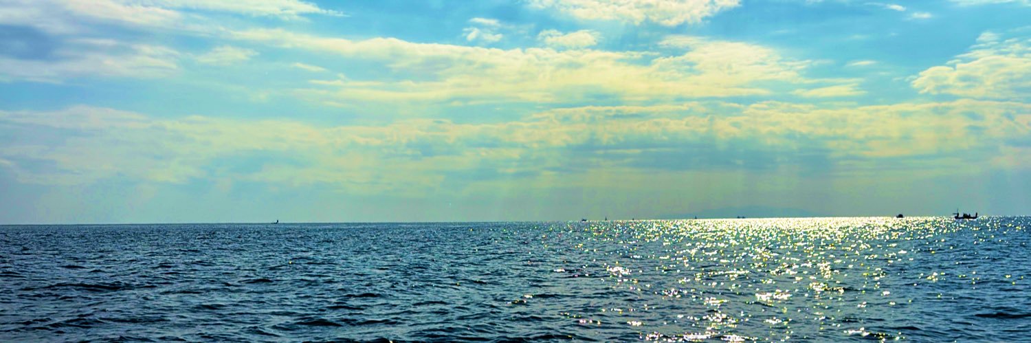 351005's profile banner image