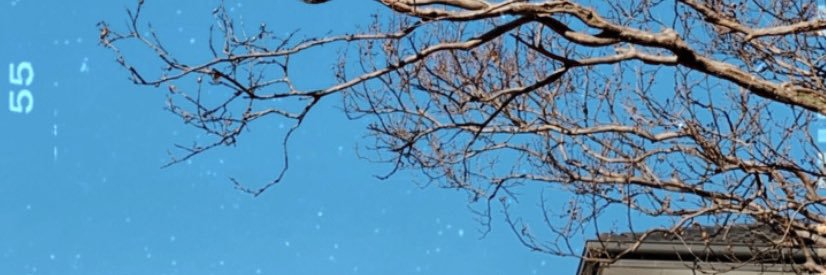 dlamaliah's profile banner image
