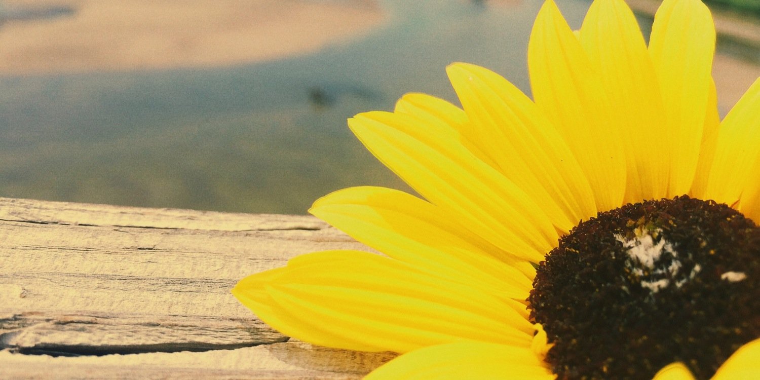 MaddiMarieR's profile banner image