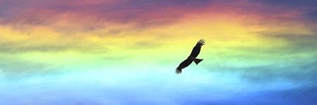 world611's profile banner image