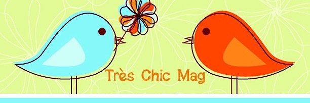 3chicmag's profile banner image
