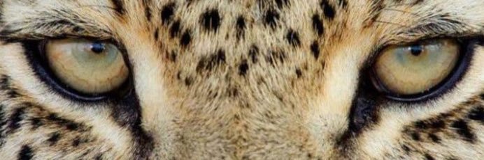 IsabellyOli2's profile banner image