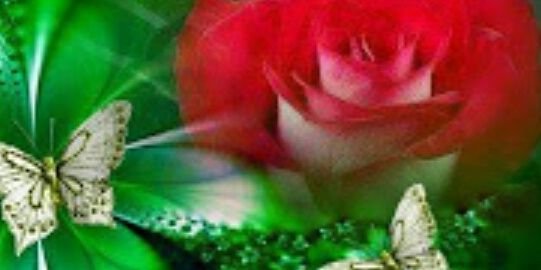 fux65e's profile banner image