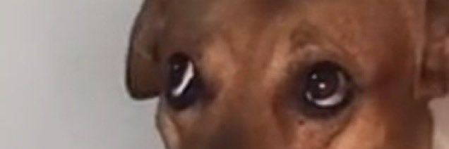 bellabender_'s profile banner image