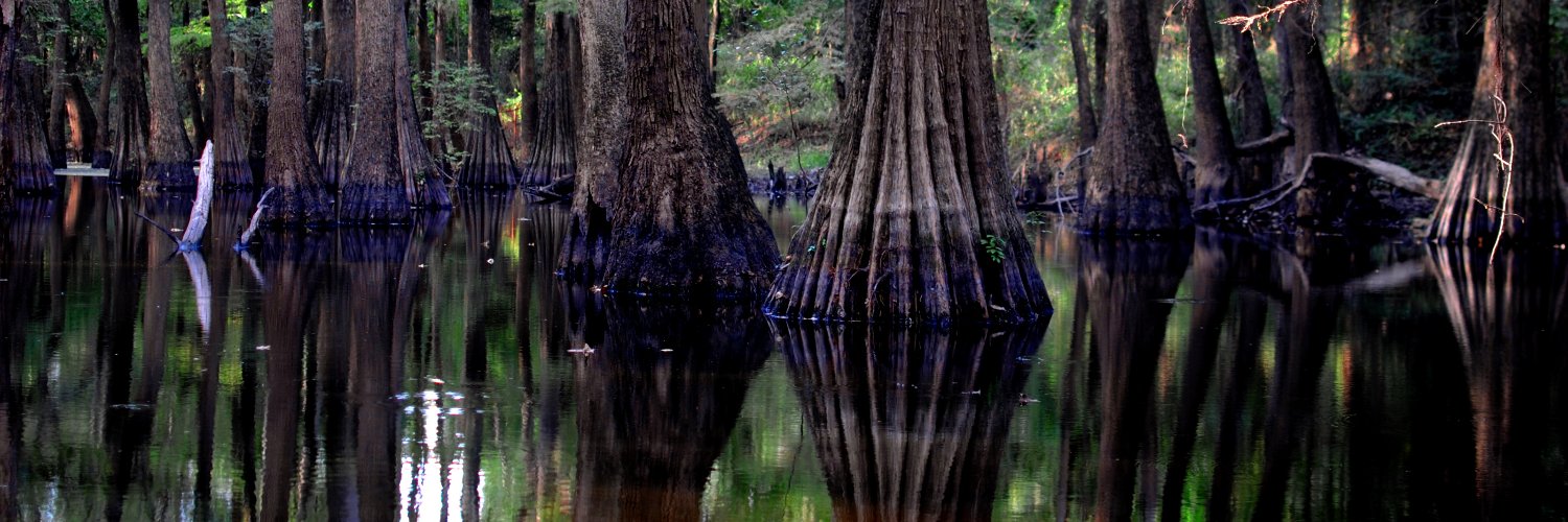 PearlRiverFlow banner