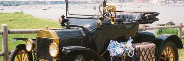 HorselessAge Profile Banner