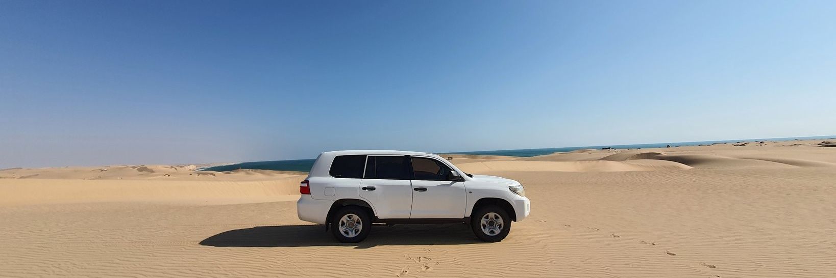 مصعب المعمري banner