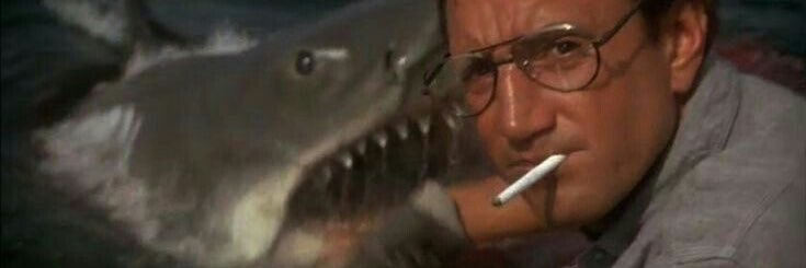 WhoIsBellaKeith's profile banner image