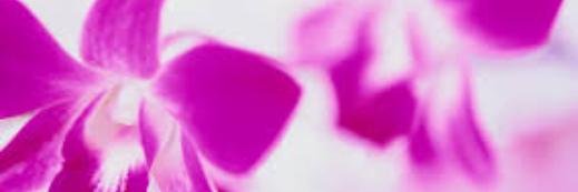 TraceyEPitts's profile banner image