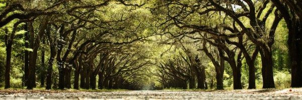 FixeSouthern Profile Banner