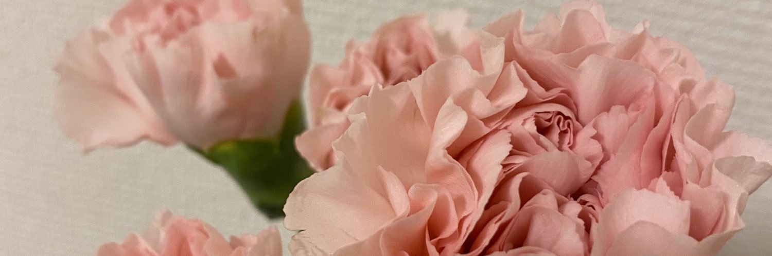 s_nnm's profile banner image