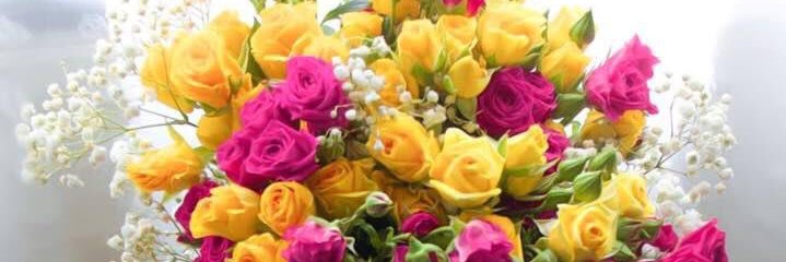 awsaltay's profile banner image