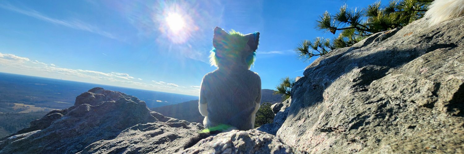 SunRiseFox banner