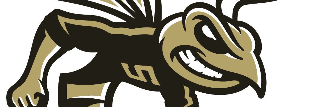 Sprayberry Cheer banner