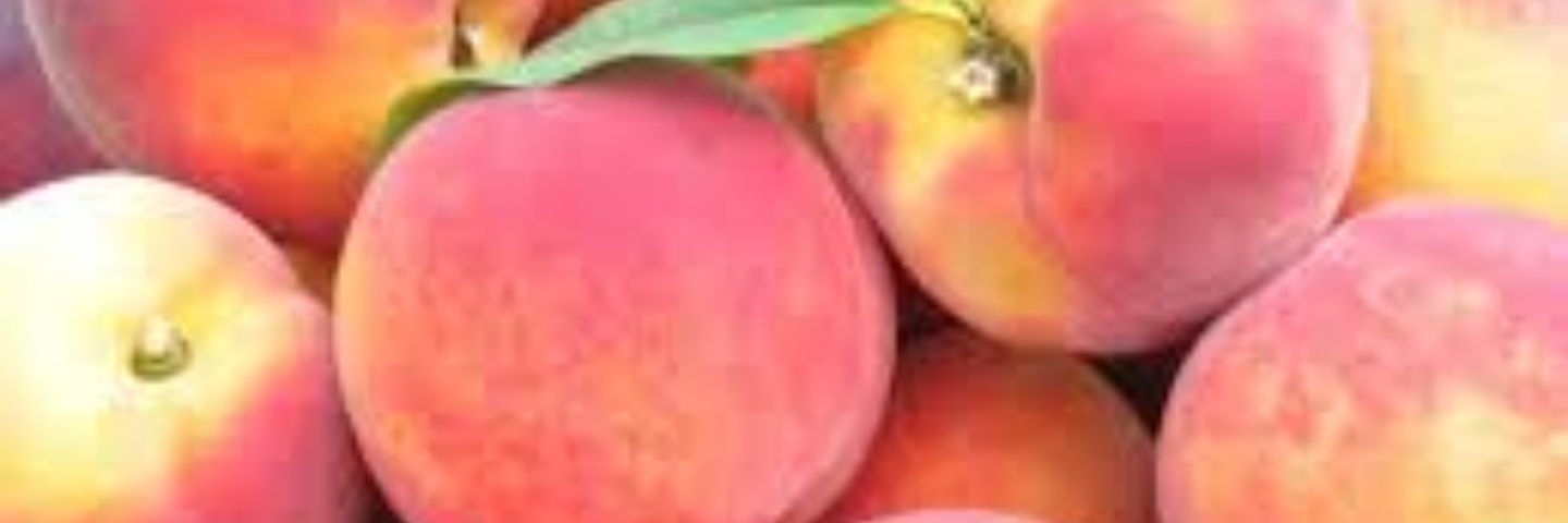 mmk___peach's profile banner image