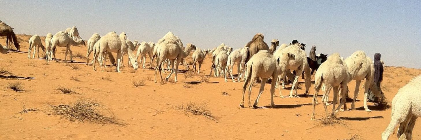 AlsahliNAF's profile banner image