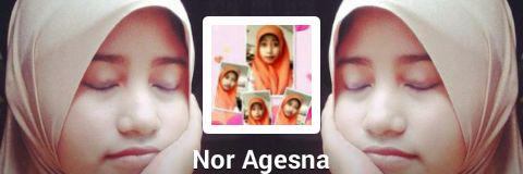 Nor_Agesna's profile banner image
