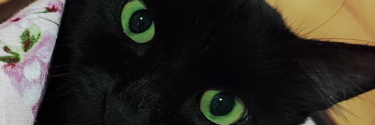 dryganie's profile banner image