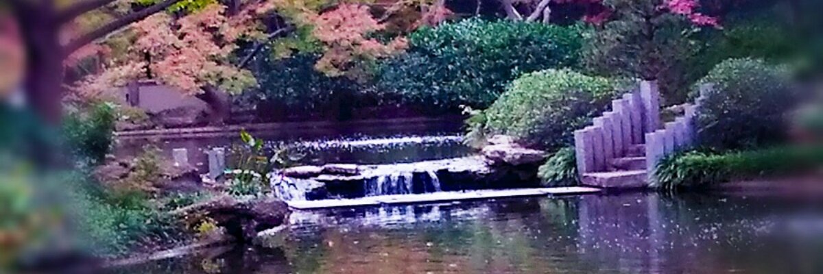 Froggue's profile banner image