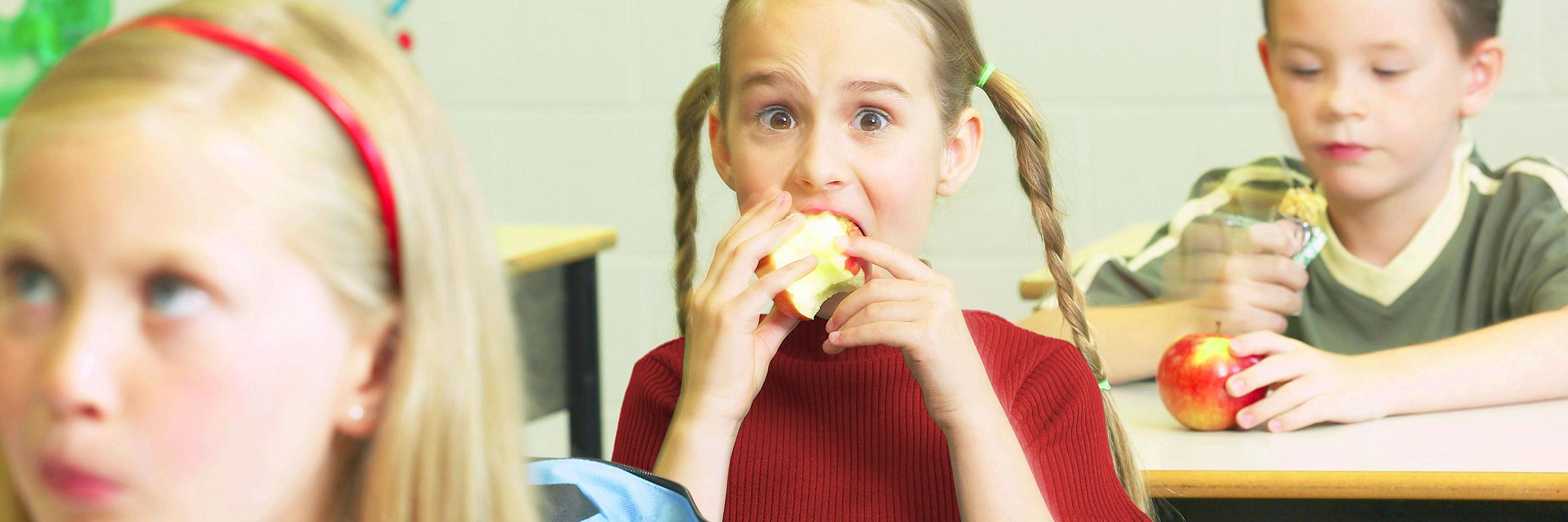 Brant Food For Thought banner