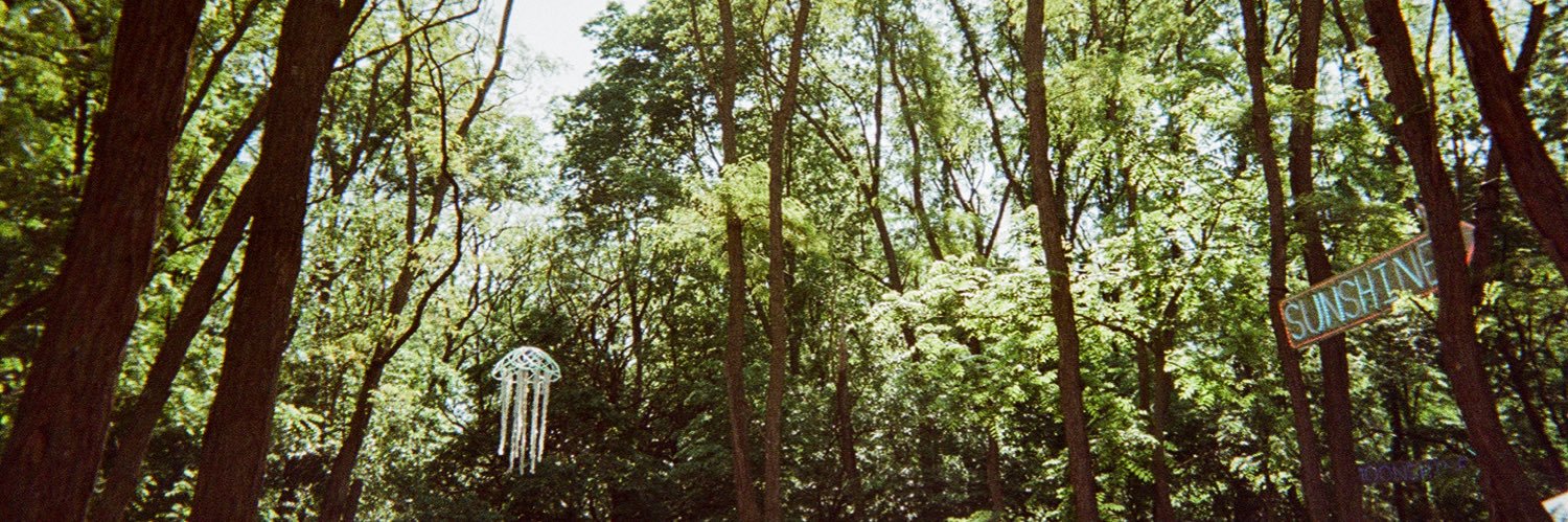 lind_Zz's profile banner image