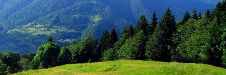 🇺🇦traum451 banner