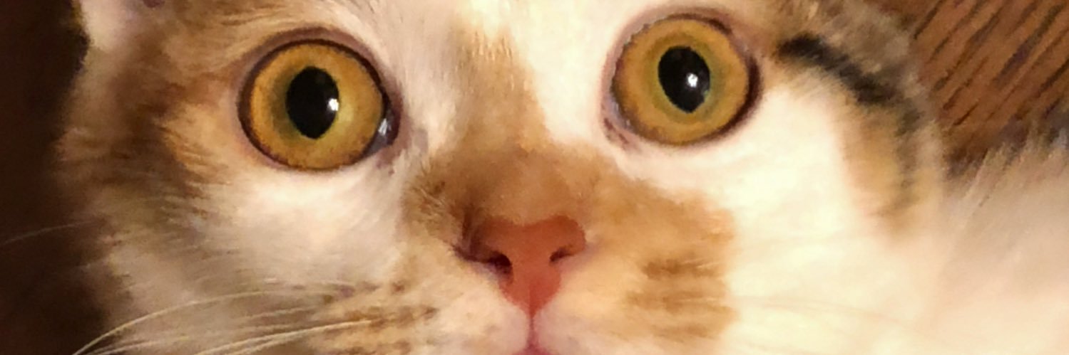 k_heizo's profile banner image