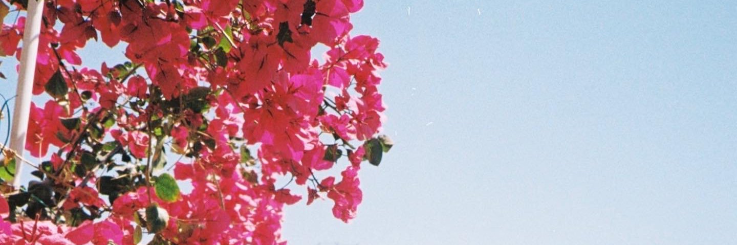 sofsthecreator's profile banner image