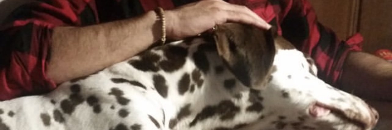 mr_irooni's profile banner image
