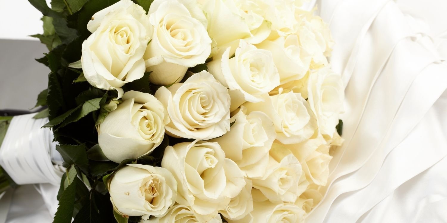 chyntessa's profile banner image