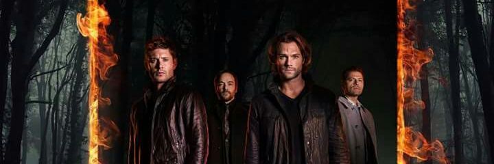 90_cherrier's profile banner image