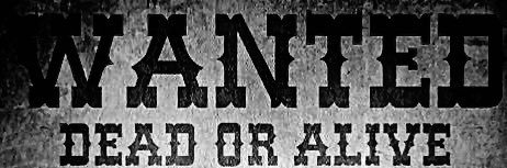 allcontentww's profile banner image