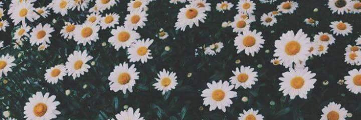 PhetZii_Top99's profile banner image