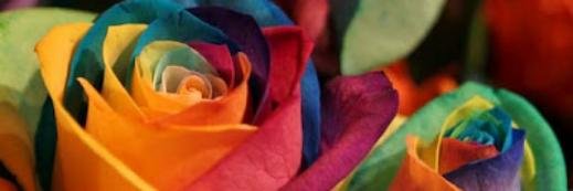 MayraSah's profile banner image