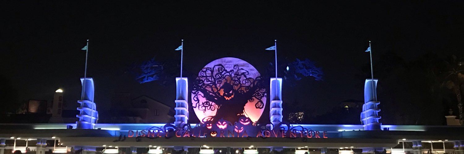 wanaleeib's profile banner image