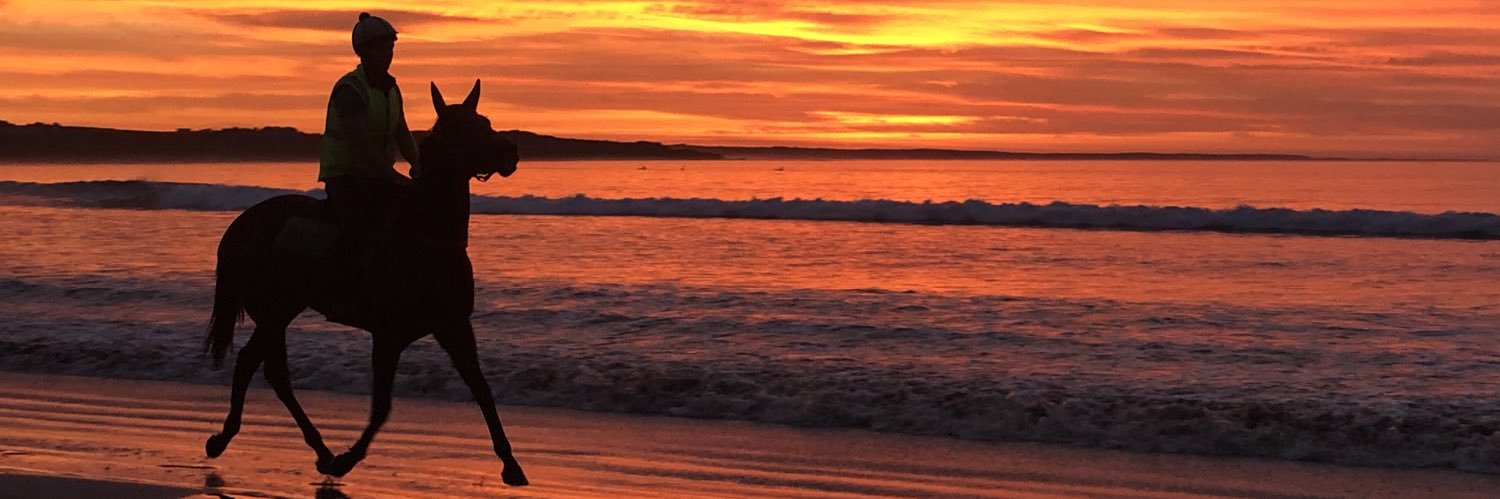 Adam Chambers banner