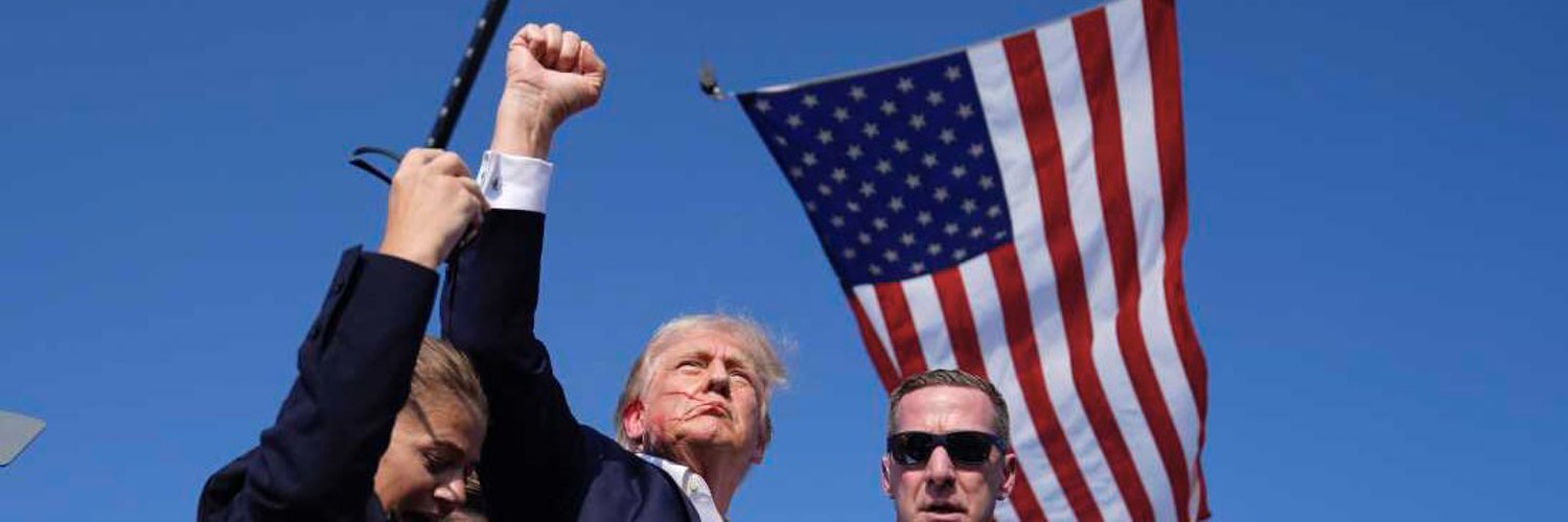 Overthrow Democrats banner