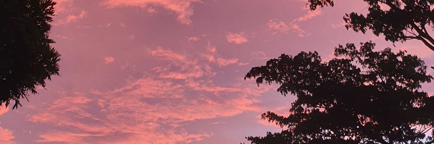 Gelcoppo's profile banner image