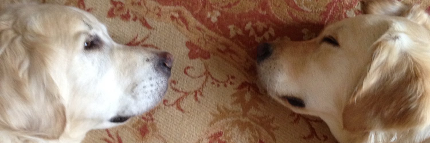 Hilary Allison banner