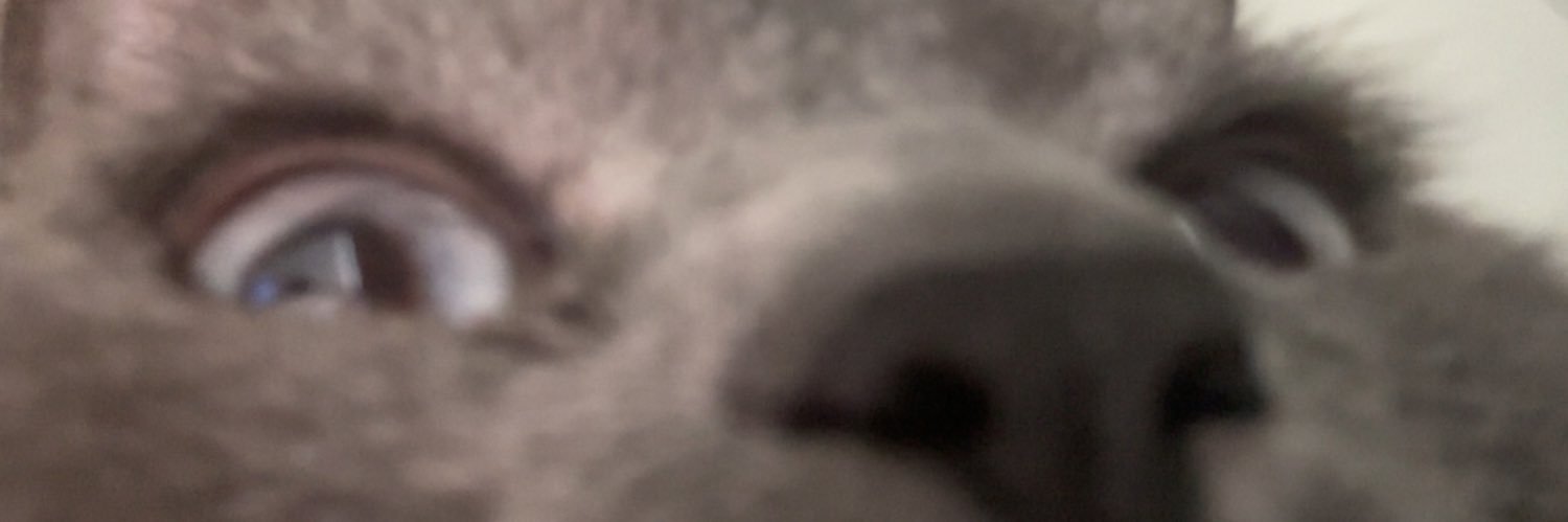 Duhhlilaa's profile banner image