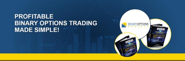 BinaryExperts Profile Banner