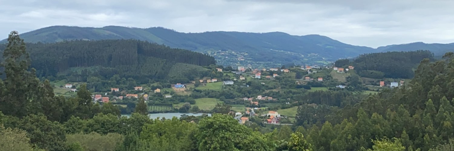 Luis Ferrandiz banner