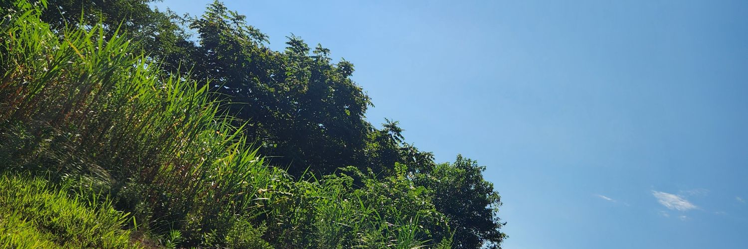 ts1859's profile banner image