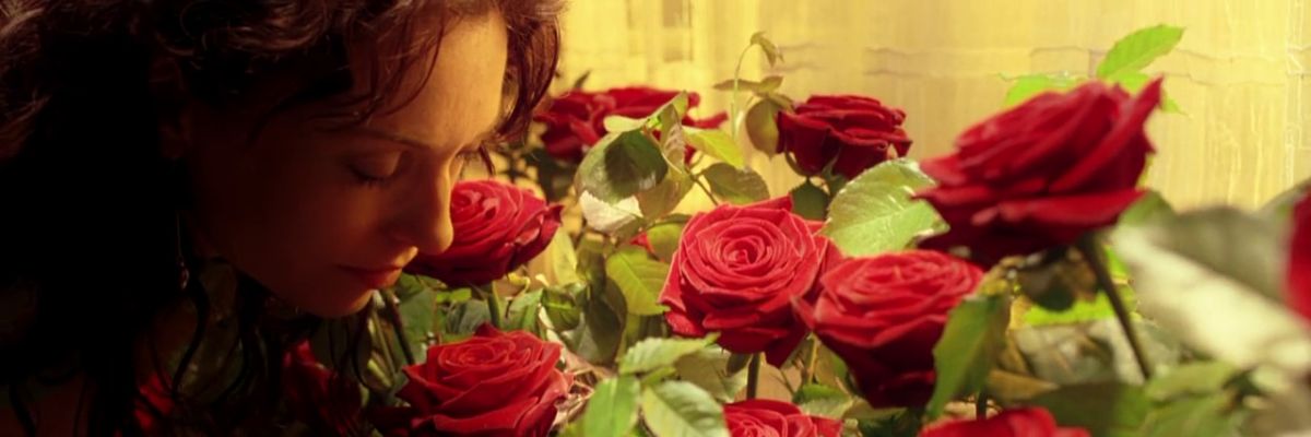 gisel_aleman's profile banner image