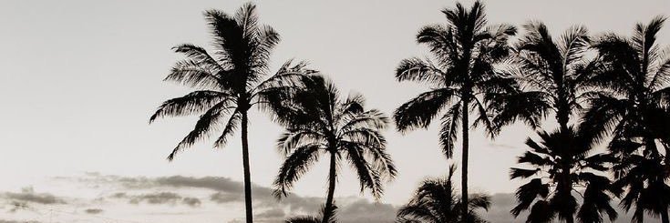 hoftsn's profile banner image