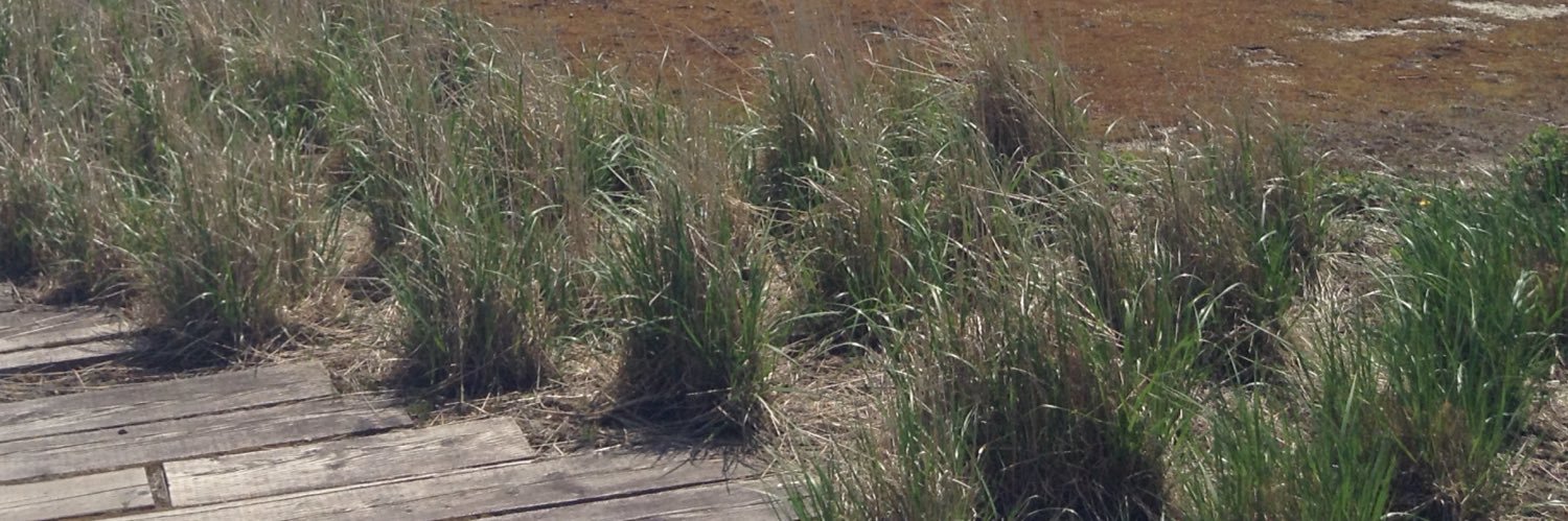 𝐤𝐢𝐤𝐮𝐜𝐡𝐢𝐤𝐲𝐨𝐮𝐤𝐨｜ﾄ"ｺ"ﾊ°ﾋ4年 banner